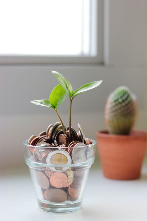 Coins in a glass of water with a plant growing out of them